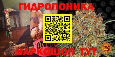 молекула духа Кумертау