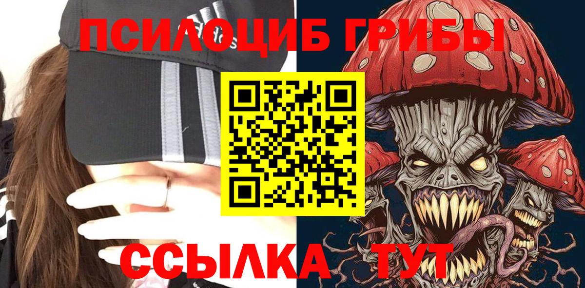 Галлюциногенные грибы MAGIC MUSHROOMS Чернушка