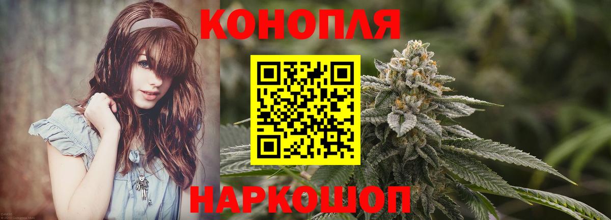 Канабис OG Kush Чернушка